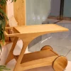 mizTroli