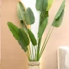 parandebeheshti240cm