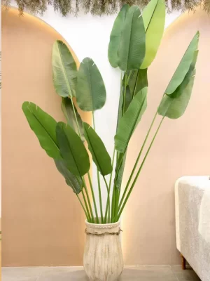 parandebeheshti240cm