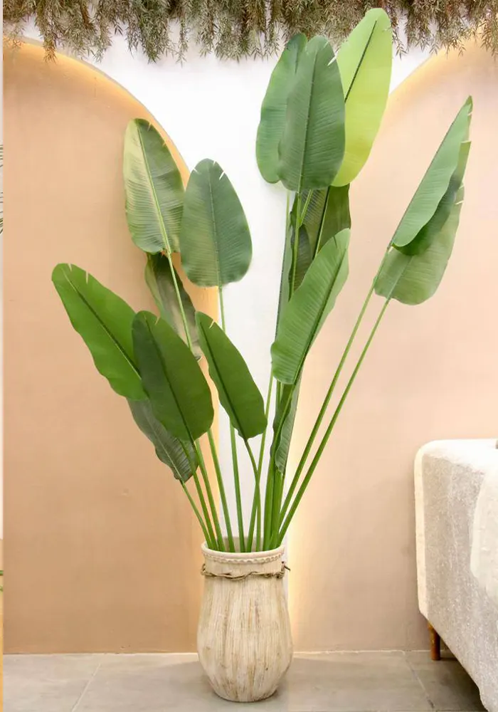 parandebeheshti240cm