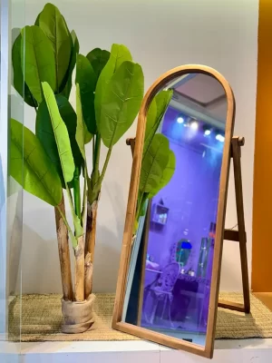 Dome mirror with stand