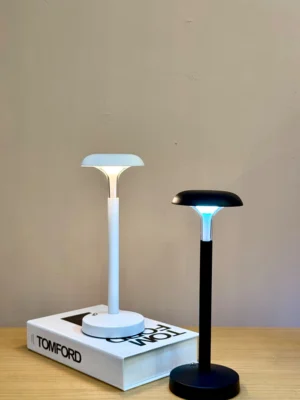آباژور مدرن دو رنگ