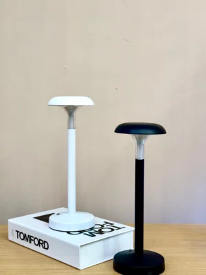 Modern two-tone lampshade